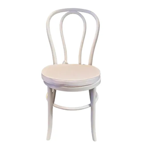 Bentwood Resin Chair