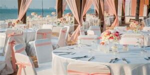 th 8 Bounce House Rentals